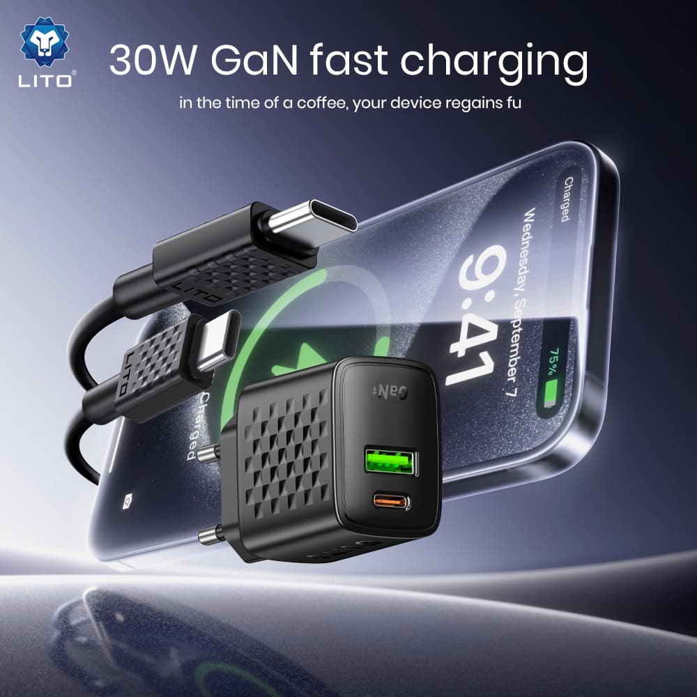 Lito Wall Charger LC19T s kabelem Type-C Type-C USB výstup PD30W GaN EU černá - náhled 2