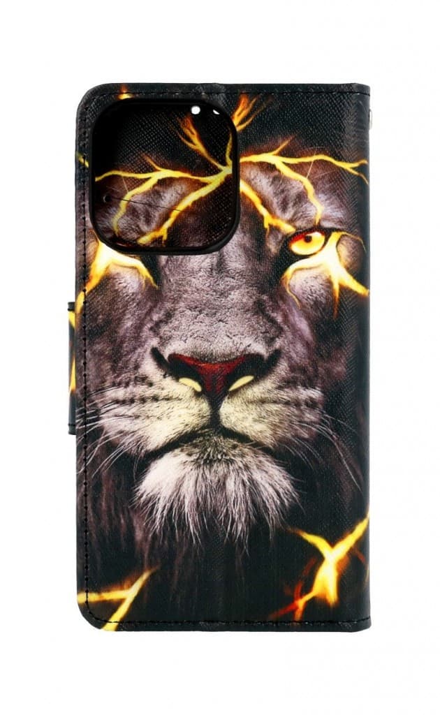 Pouzdro TopQ iPhone 13 Pro knížkové Magický lev 66465 - náhled 2